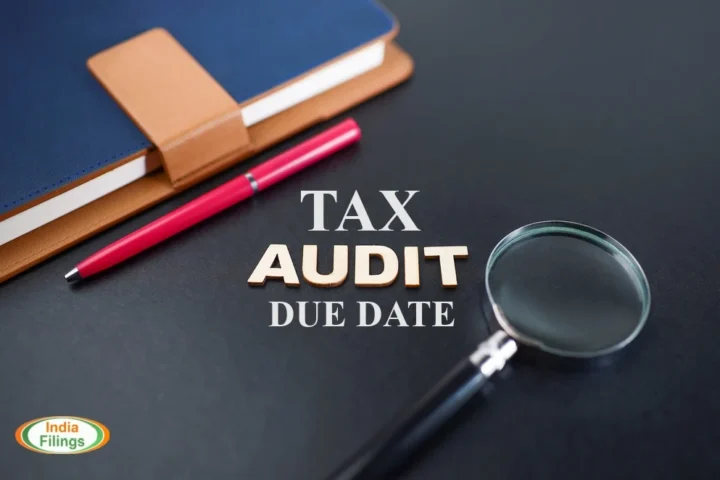 Tax Audit Report Filing