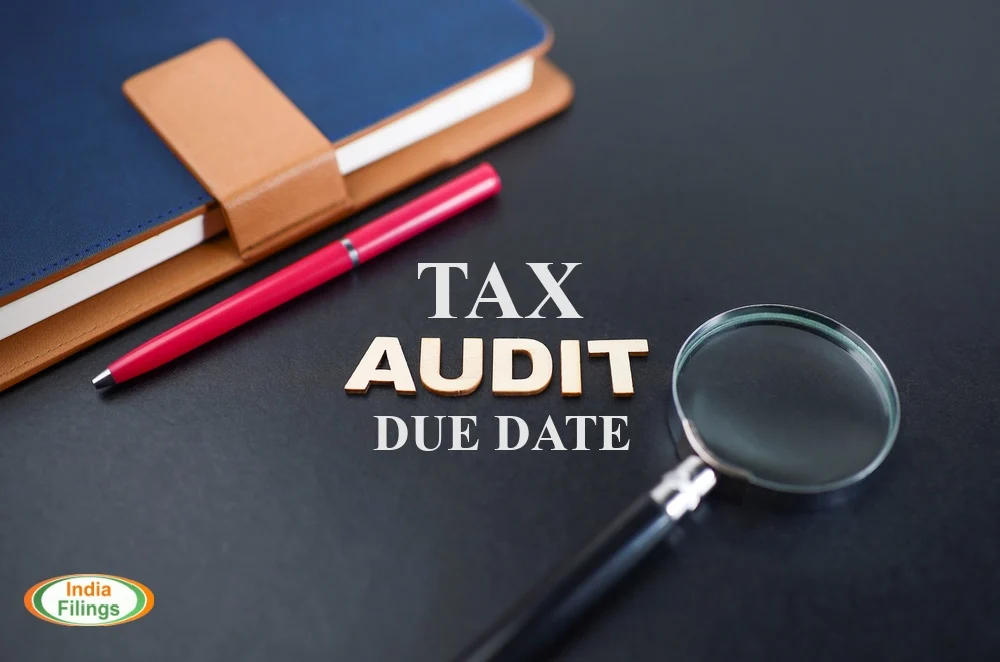 Tax Audit Report Filing