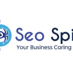 SEOSpidy Web Solution